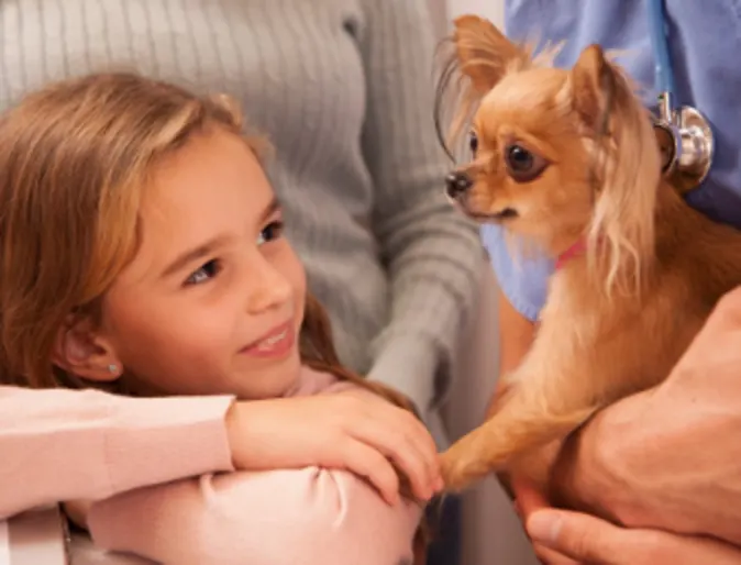 Girl with Brown Dog and Vet